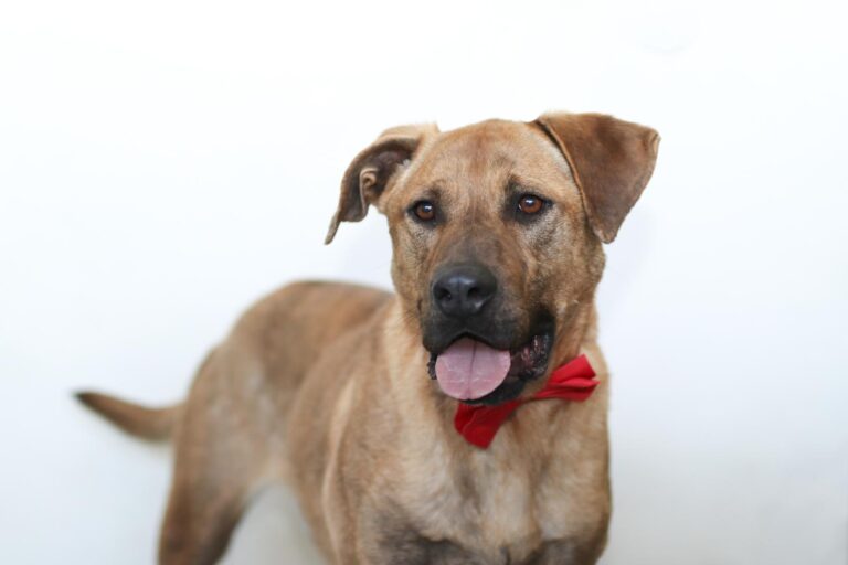 multimedia-foto57012-188-1