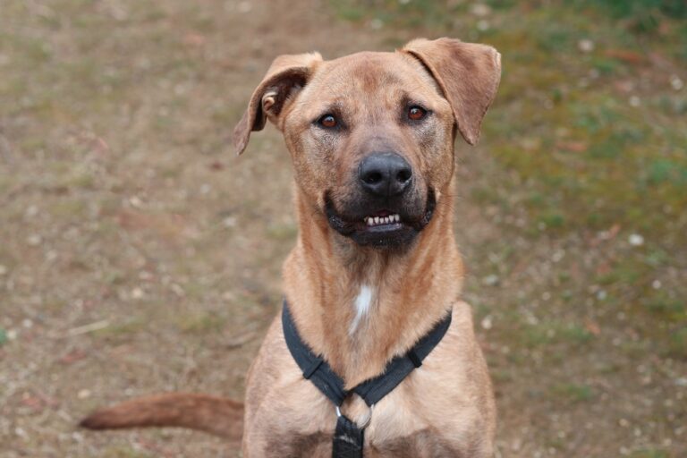 multimedia-foto57014-188-1