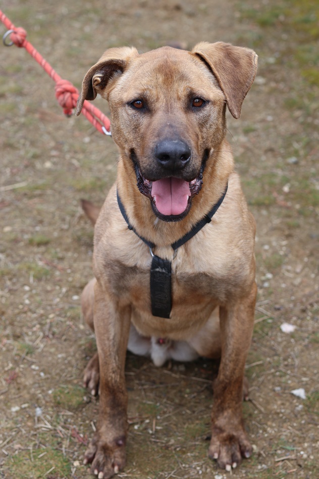 multimedia-foto57015-188-1