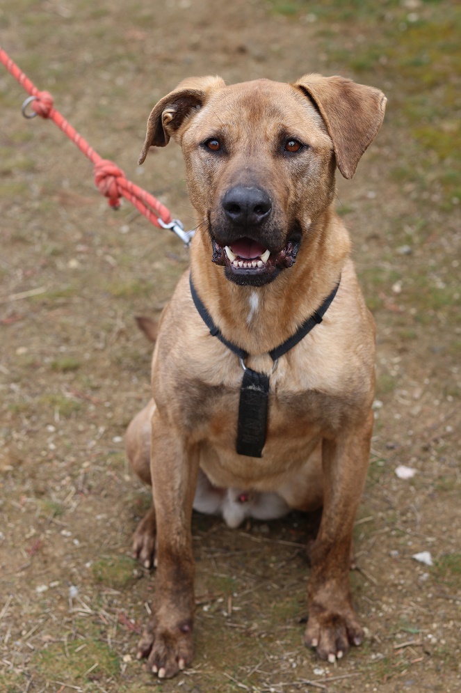 multimedia-foto57016-189-1