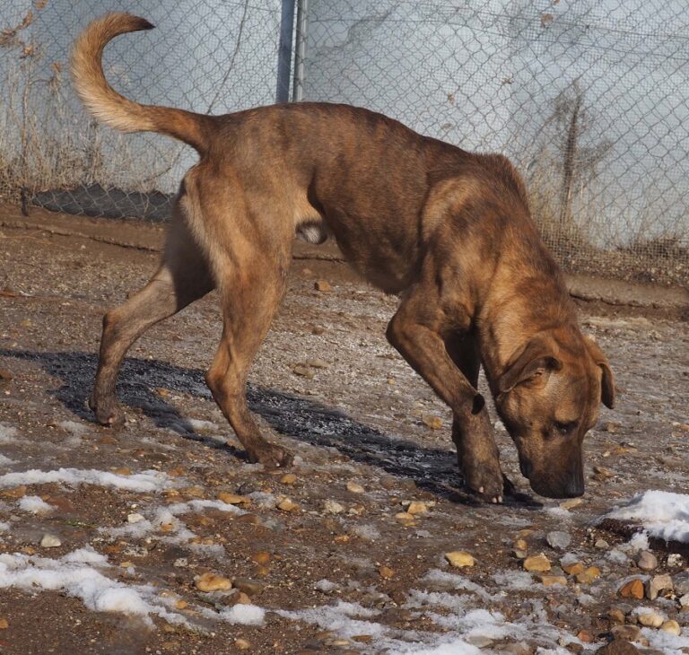 multimedia-foto57017-189-1