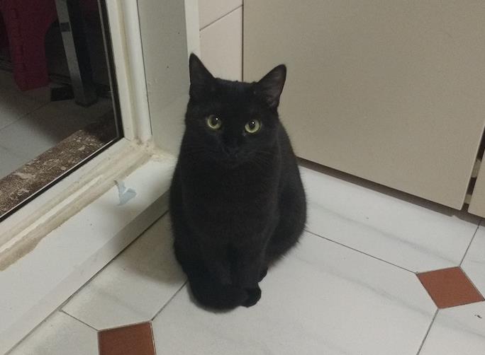 multimedia-foto57018-428-3