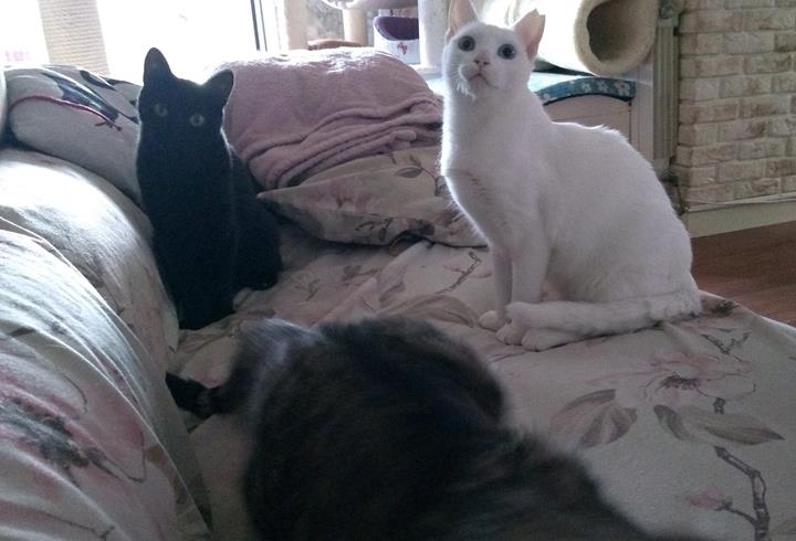 multimedia-foto57019-428-3