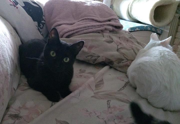 multimedia-foto57020-429-3