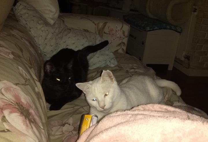 multimedia-foto57021-429-3