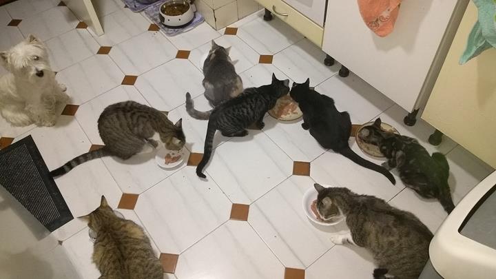 multimedia-foto57022-429-3