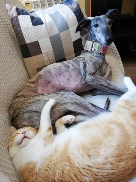 multimedia-foto57050-191-1