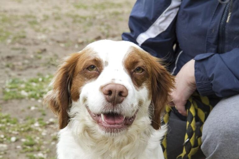 multimedia-foto57052-777-1