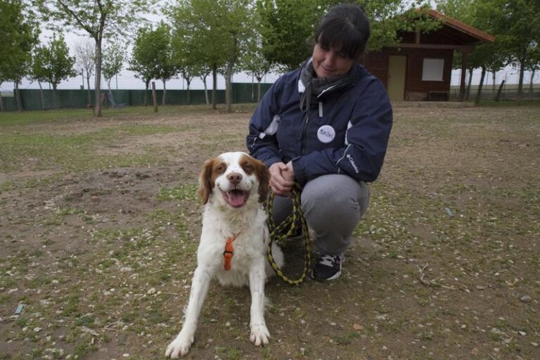 multimedia-foto57053-777-1