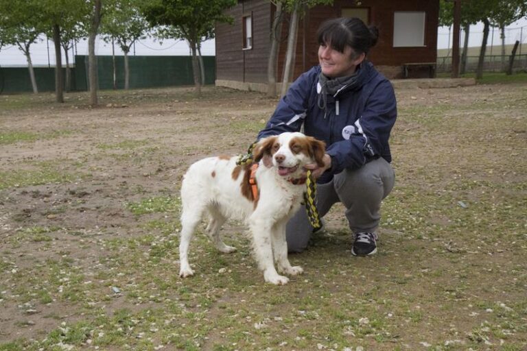 multimedia-foto57054-777-1