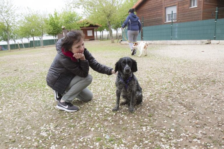 multimedia-foto57061-2-1