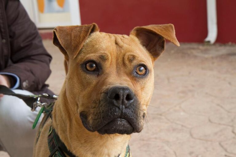 multimedia-foto57064-79-1