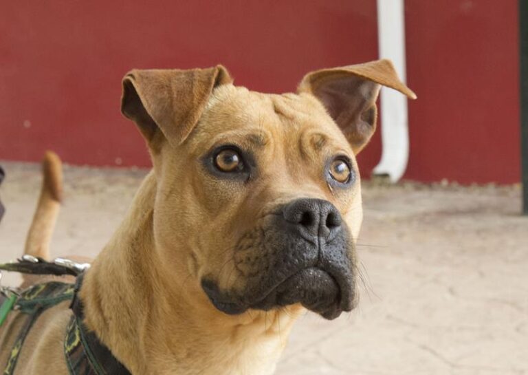 multimedia-foto57065-79-1