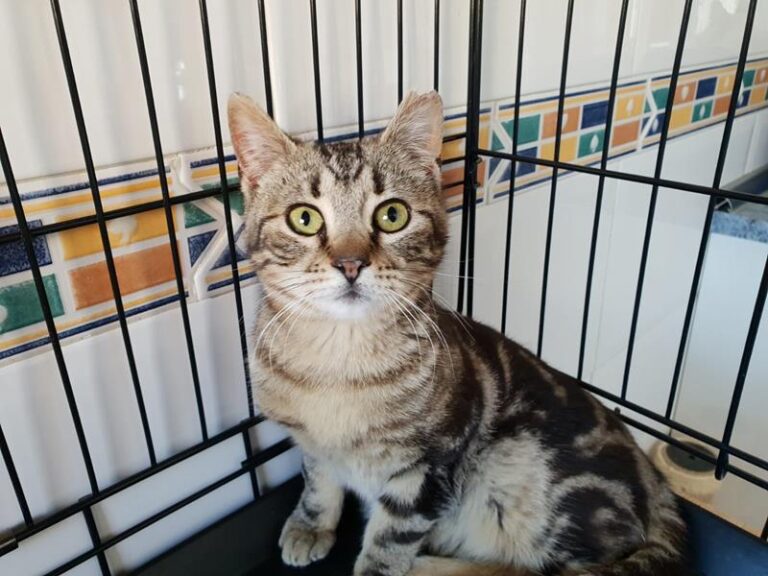 multimedia-foto57067-554-1