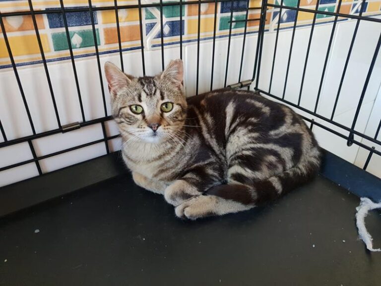 multimedia-foto57068-554-1