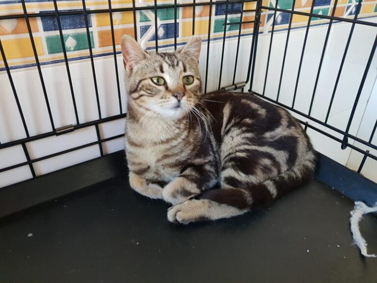 multimedia-foto57070-554-1