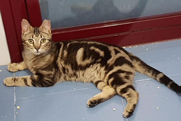 multimedia-foto57073-555-1