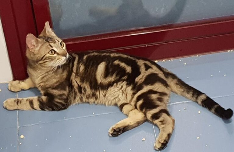 multimedia-foto57074-555-1