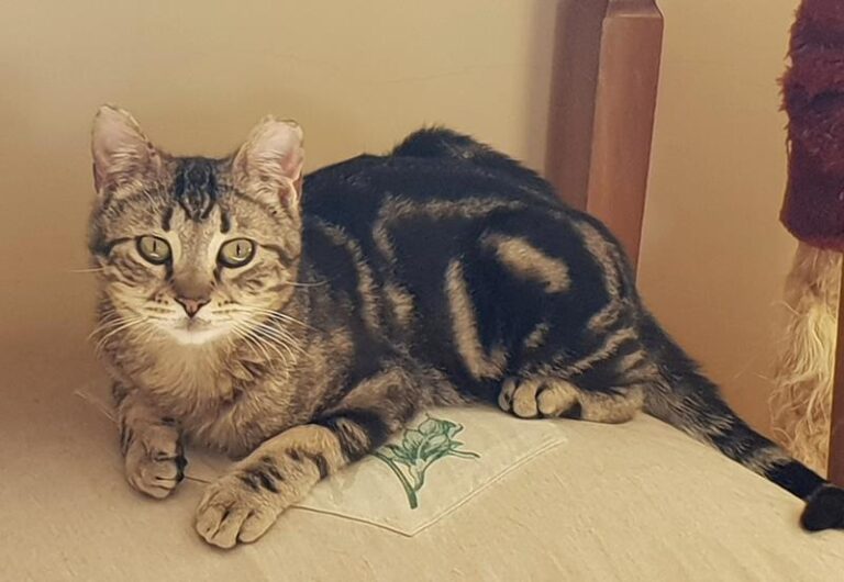 multimedia-foto57075-555-1