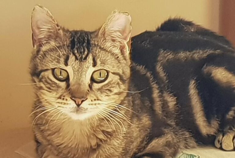 multimedia-foto57076-555-1