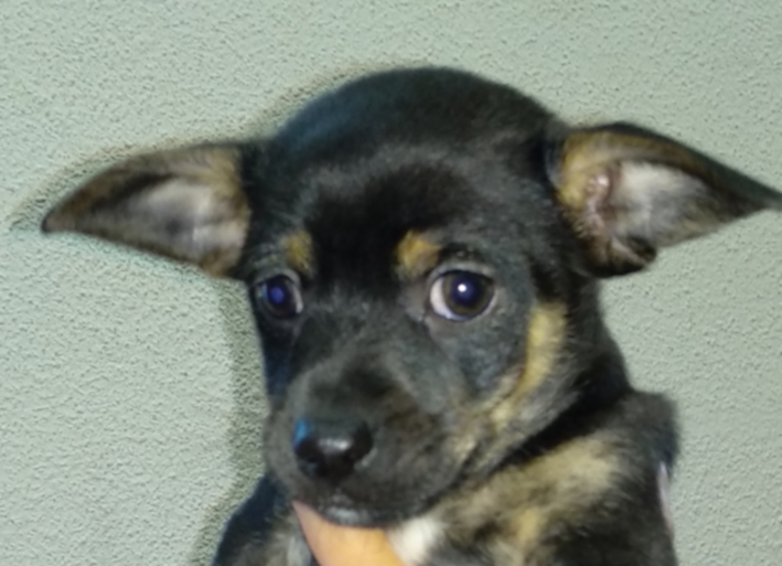 multimedia-foto57196-93-1