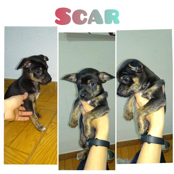 multimedia-foto57199-96-1