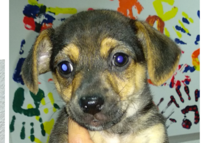 multimedia-foto57202-171-1