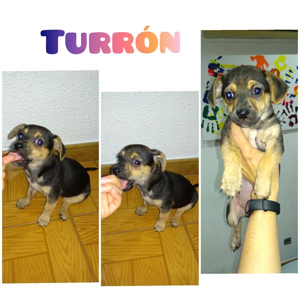 multimedia-foto57203-172-1