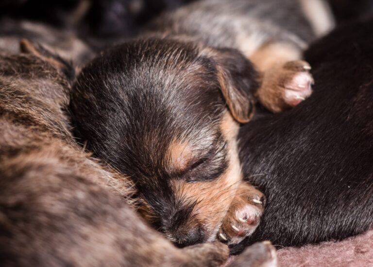 multimedia-foto57204-172-1