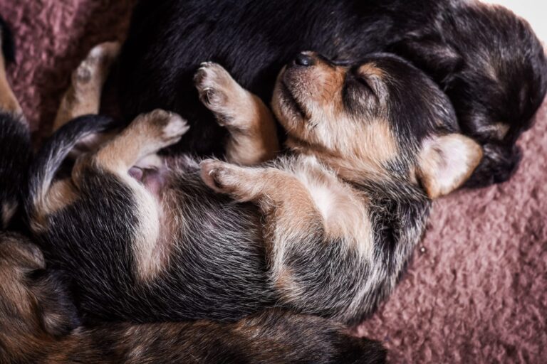 multimedia-foto57205-172-1