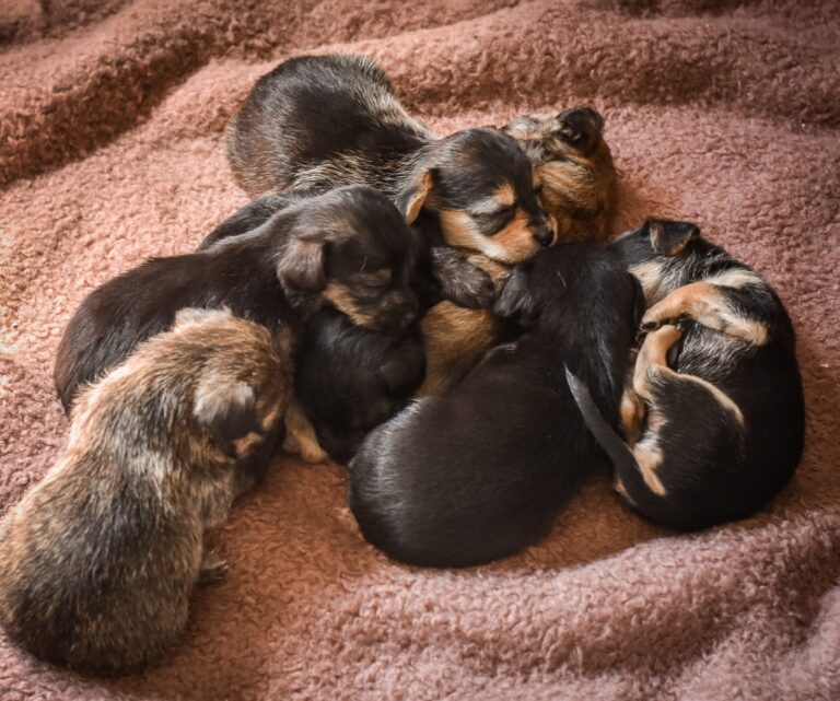 multimedia-foto57222-677-1