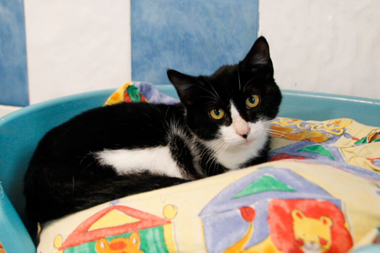 multimedia-foto57232-125-1