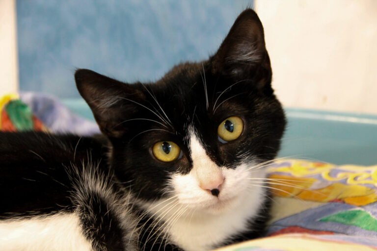 multimedia-foto57233-125-1