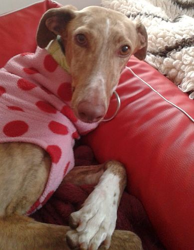 multimedia-foto57234-883-1