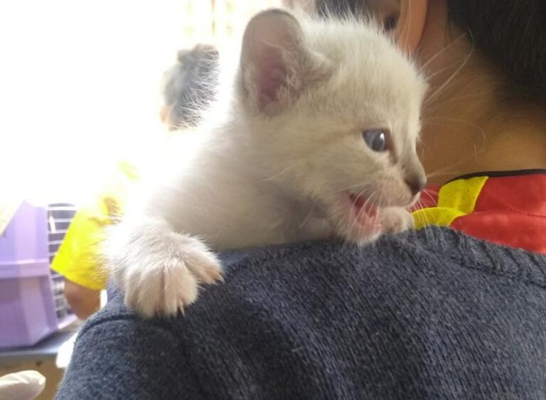 multimedia-foto57236-107-1