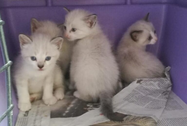 multimedia-foto57238-107-1