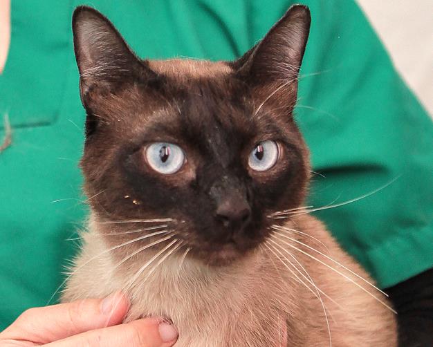 multimedia-foto57256-977-1