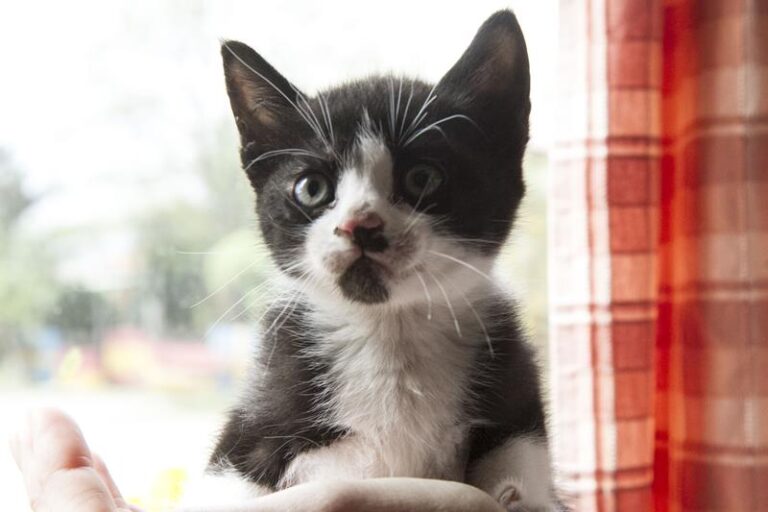 multimedia-foto57264-669-1