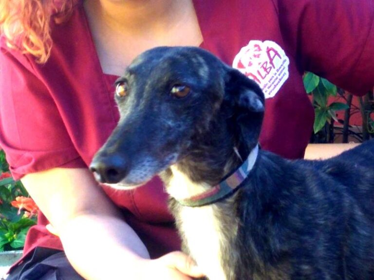 multimedia-foto57271-993-1