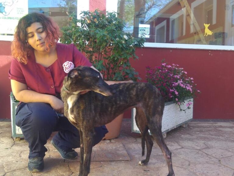 multimedia-foto57272-993-1