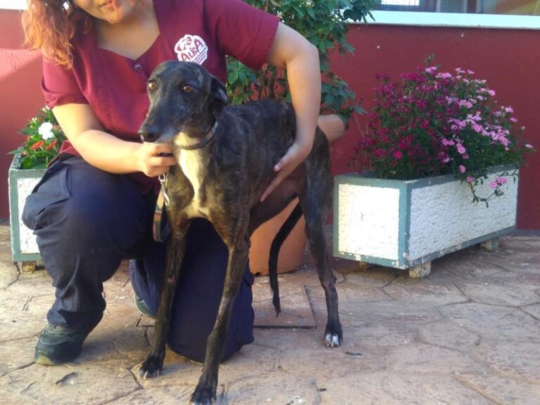 multimedia-foto57273-993-1