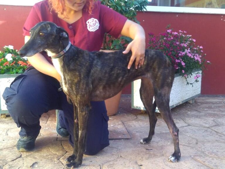 multimedia-foto57274-994-1