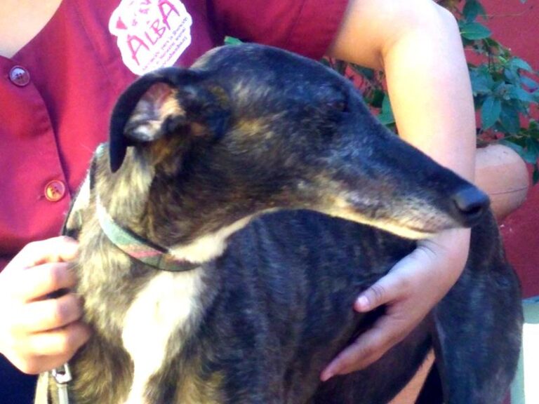 multimedia-foto57275-994-1