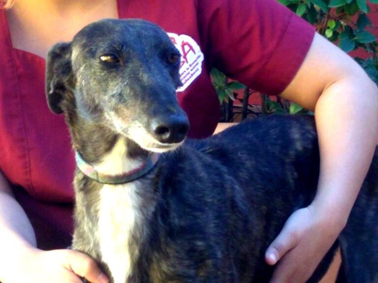 multimedia-foto57276-994-1