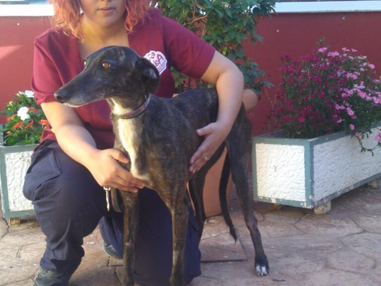 multimedia-foto57277-994-1