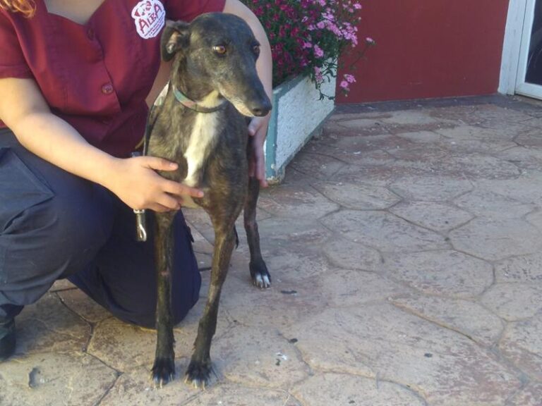 multimedia-foto57278-994-1