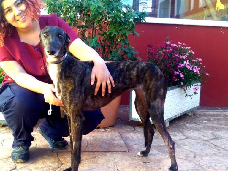 multimedia-foto57279-994-1