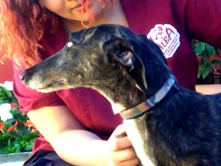 multimedia-foto57280-995-1