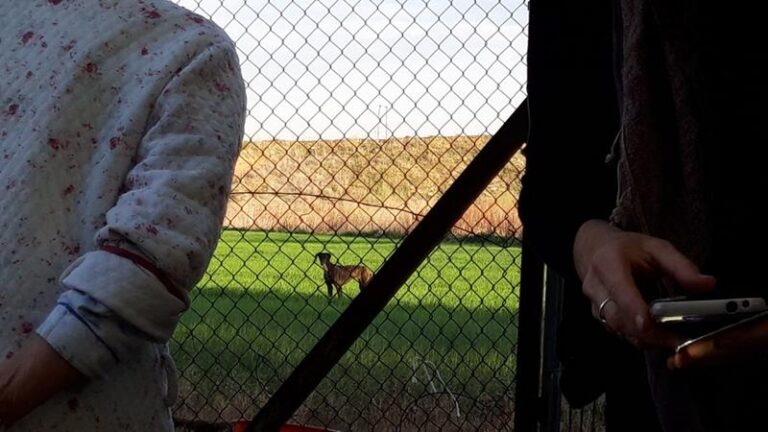 multimedia-foto57282-633-1