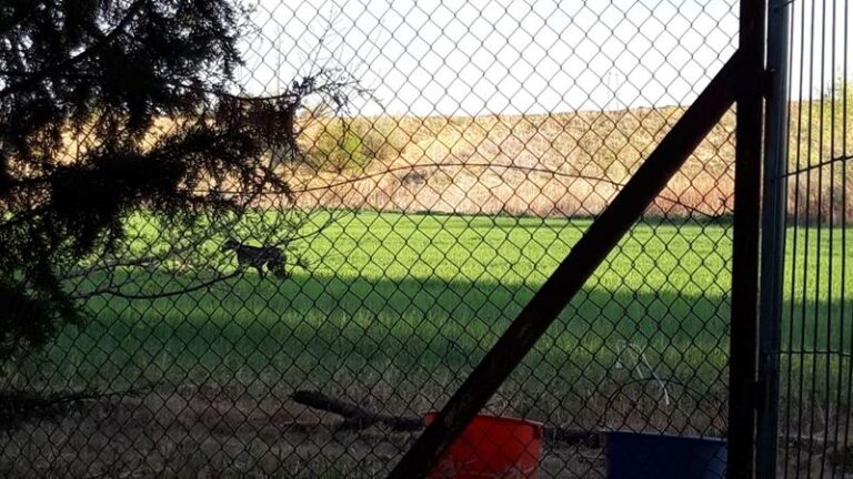 multimedia-foto57283-634-1